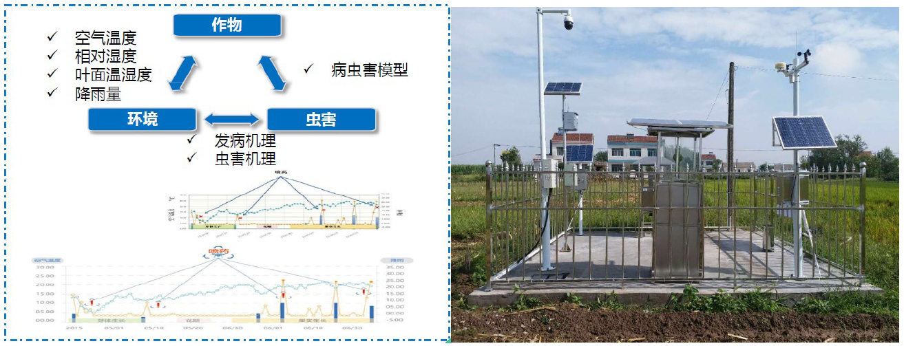 “5G+智慧农业”的农业大数据平台该怎么做？