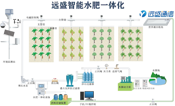水肥一体化提高肥料的利用率.png
