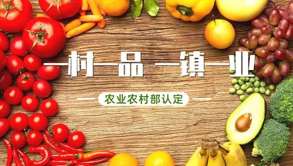 2021年全国一村一品示范镇申请开始啦.jpeg